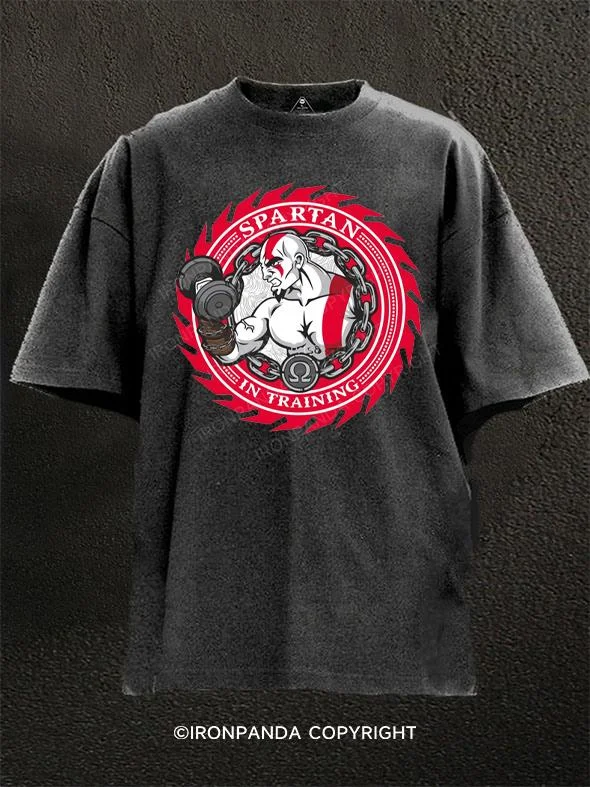 Custom Team T-shirt-spartan in training Washed Gym Shirt