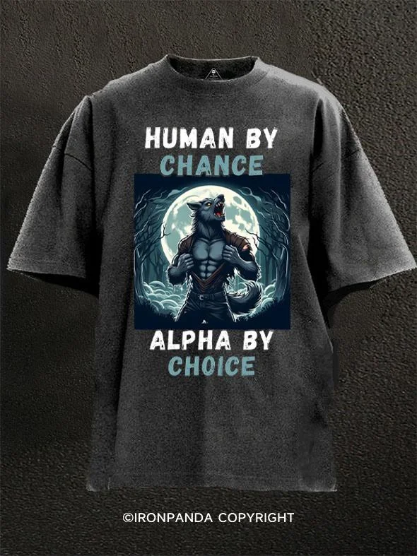 Funny Graphic T-shirt-Human By Chance Alpha By Choice Washed Gym Shirt