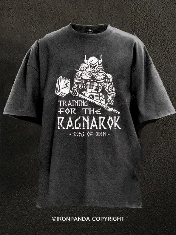 Graphic T-shirt For Kids-Sons of Odin - Training for Ragnarok Vikings Washed Gym Shirt